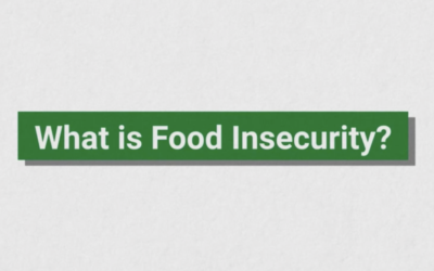What is Food Insecurity?