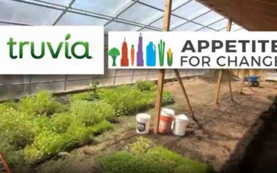 Truvia, Appetite For Change team up for Juvenile Diabetes Research Foundation virtual walk